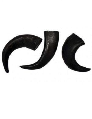 FRESH RAW CUERNOS BUFALO CAJA 15 UDS FR06