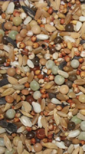 MIXTURA MUDA PALOMAS 25 KG  MY