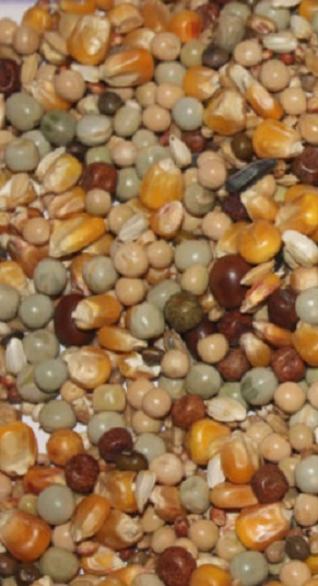 MIXTURA PALOMAS CRIA 25KG MY