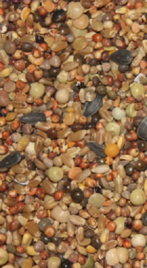 MIXTURA PALOMAS Nº2 S/M 25 KG. MY