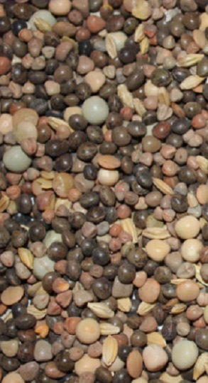 MIXTURA PALOMAS Nº3 ECO 25 KG. MY