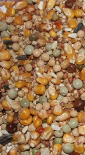 MIXTURA PALOMAS SPORT 25 KG MY