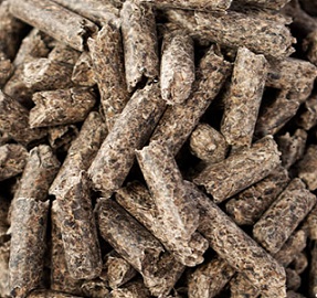 PULPA GRANULADA 30 KG