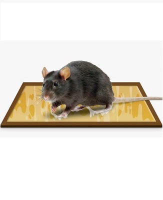 TRAMPA ENCOLADA DESECHABLE (19x29) EN PARES